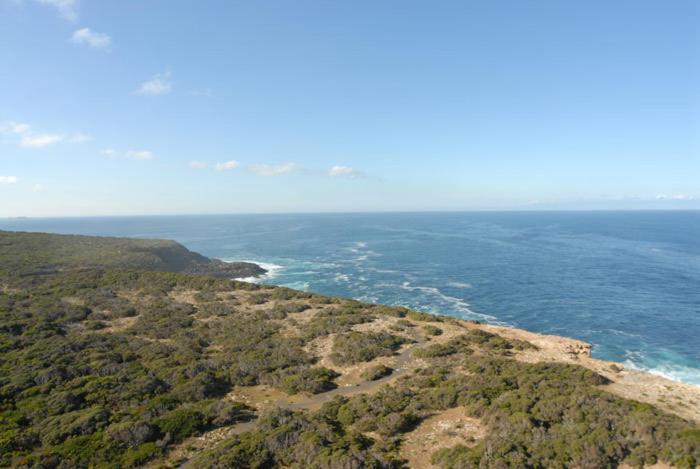 Cape Nelson Lighthouse Villa Portland Eksteriør billede